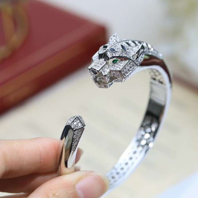 Picture of Cartier Bracelet _SKUCartierbracelet11lyx381270